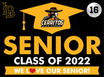 HS Banner Option 7: Grad Banner with College and Sport/Activity (multiple size options)